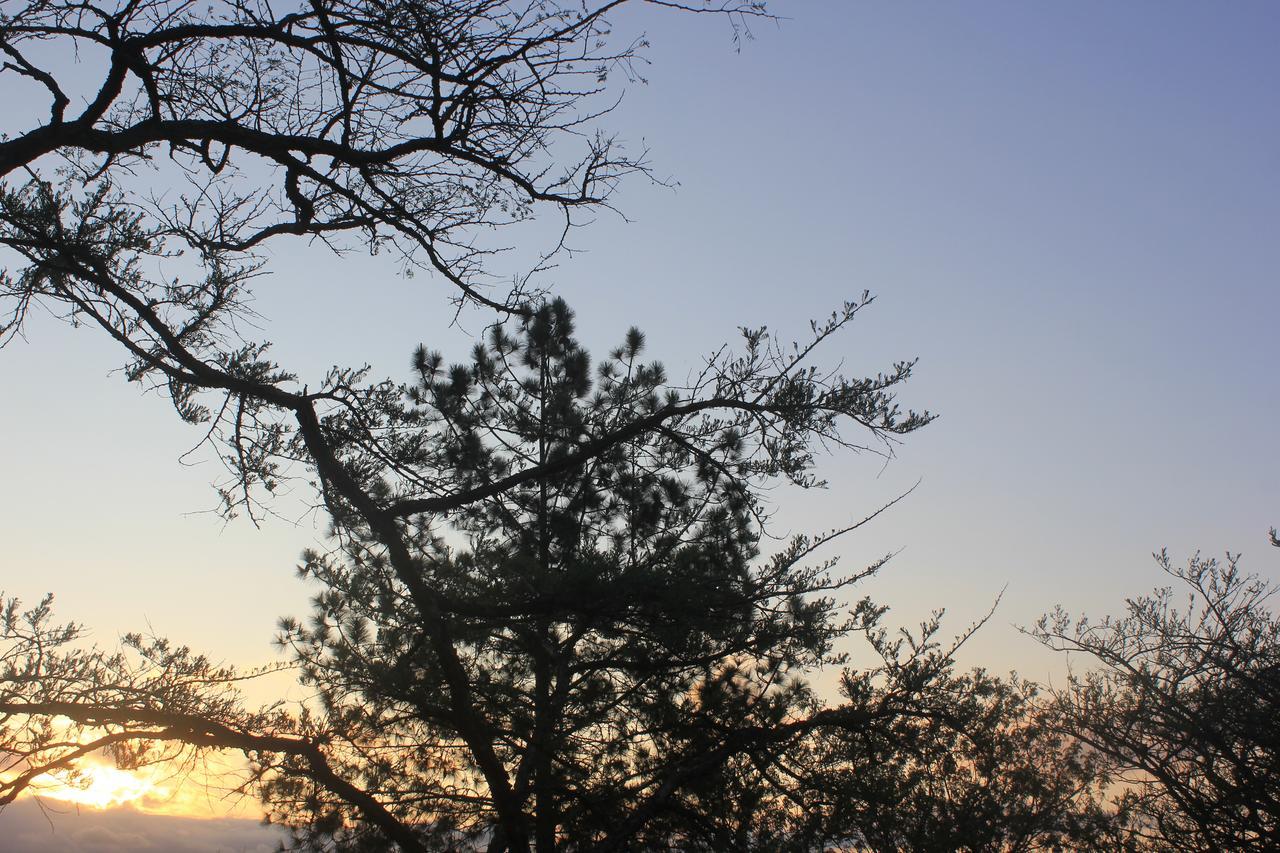 Acacia Bush Lodge Pietermaritzburg Bagian luar foto