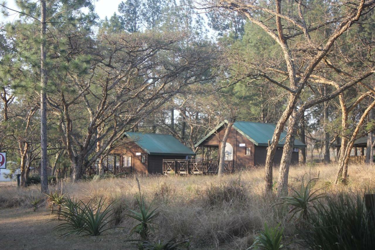 Acacia Bush Lodge Pietermaritzburg Bagian luar foto